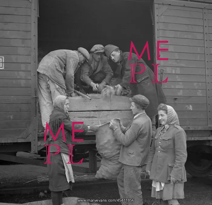 : Soviet commodities import to Czechoslovakia : Soviet commodities import to Czechoslovakia