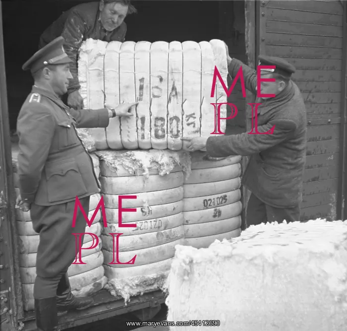 : Soviet commodities import to Czechoslovakia : Soviet commodities import to Czechoslovakia