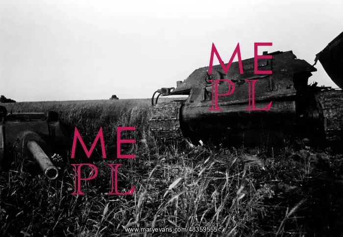 : Soviet downed tank, 1942 : Soviet downed tank, 1942
