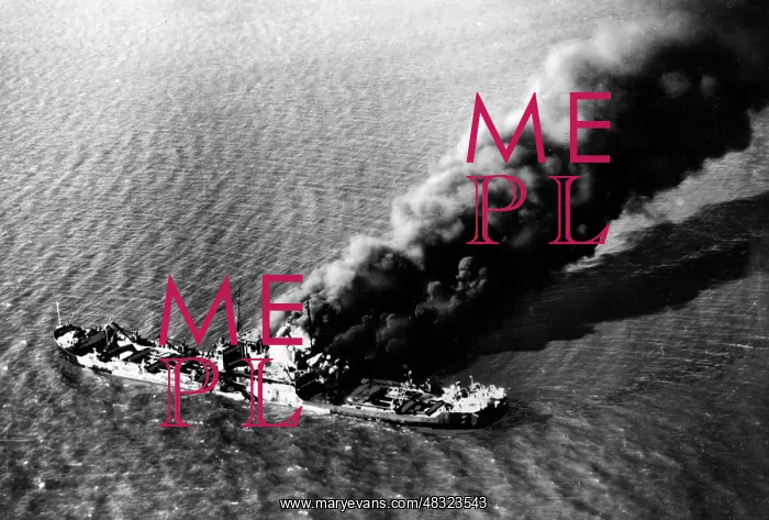 : Soviet freighter after an air raid, 1941 : Soviet freighter after an air raid, 1941