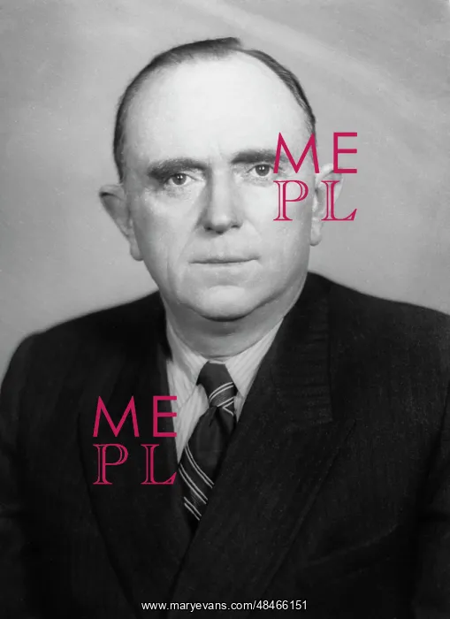 : Soviet geologist F. Volfson : Soviet geologist F. Volfson
