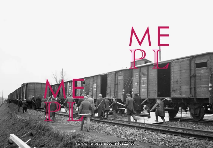 : Soviet grain delivery to Germany, 1939 : Soviet grain delivery to Germany, 1939