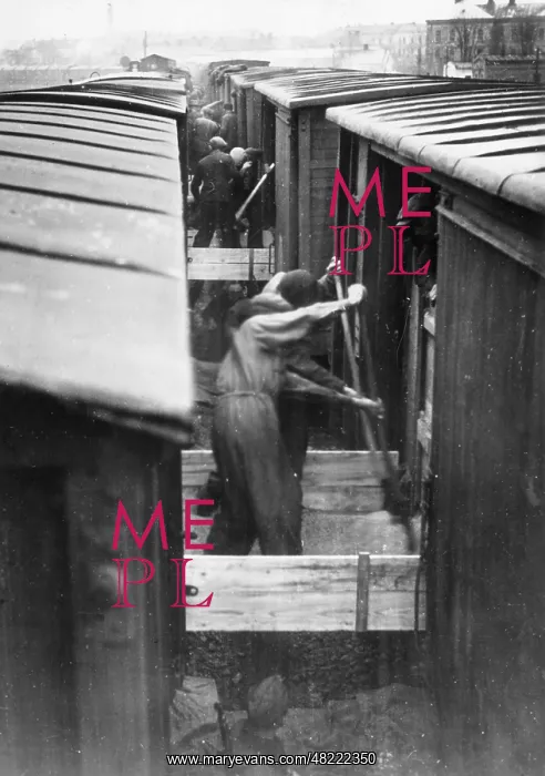 : Soviet grain delivery to Germany, 1939 : Soviet grain delivery to Germany, 1939