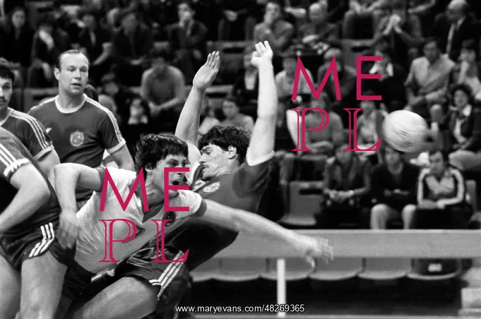 : Soviet handball championship, 1981 : Soviet handball championship, 1981