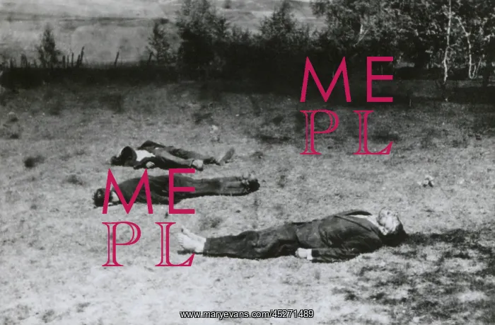 : Soviet partisans shot dead by German soldiers : Soviet partisans shot dead by German soldiers