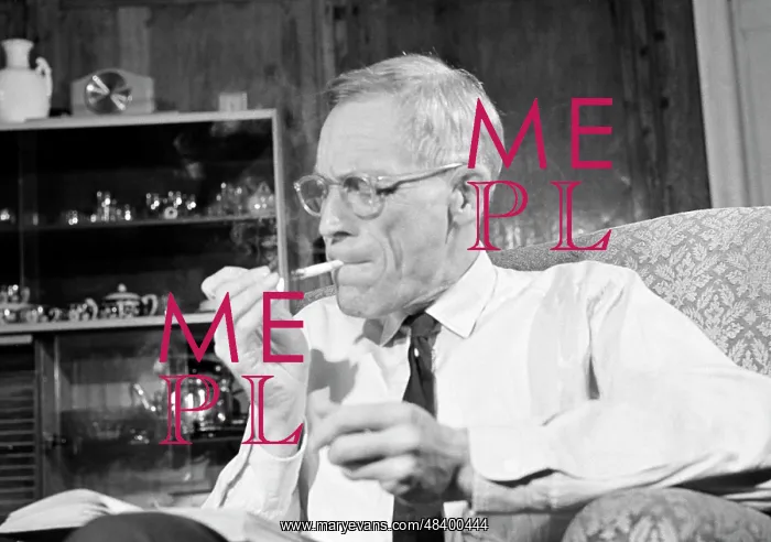 : Soviet physicist Mikhail Leontovich : Soviet physicist Mikhail Leontovich