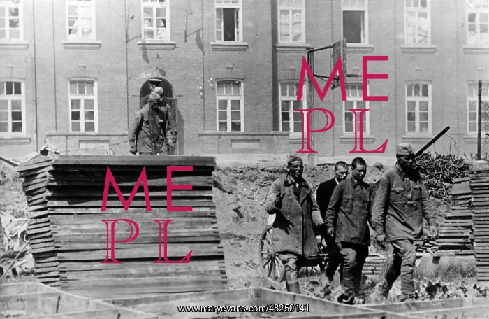 : Soviet prisoners of war on the Eastern Front, 1941 : Soviet prisoners of war on the Eastern Front, 1941