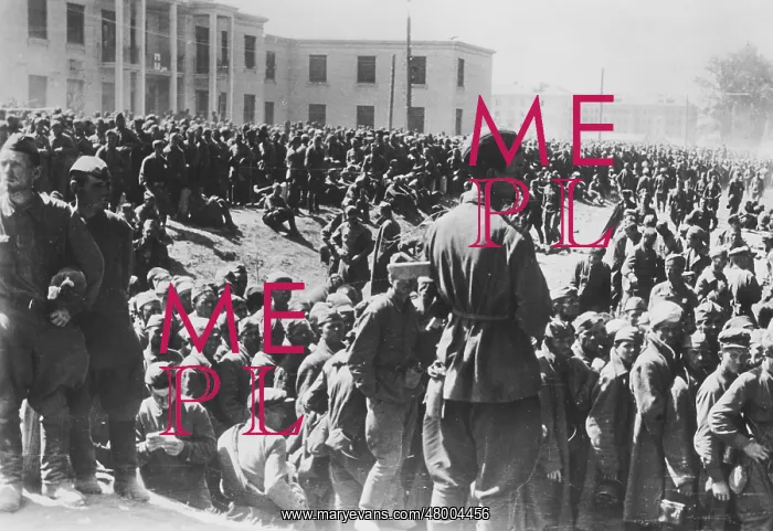 : Soviet prisoners of war after Mogilev combat, WW2 : Soviet prisoners of war after Mogilev combat, WW2