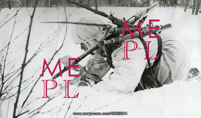 : Soviet (Russian) World War 2 medic collects rifles : Soviet (Russian) World War 2 medic collects rifles