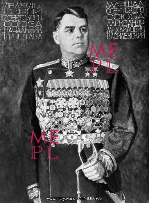 : Soviet Union Marshal A. M. Vasilevsky painting : Soviet Union Marshal A. M. Vasilevsky painting
