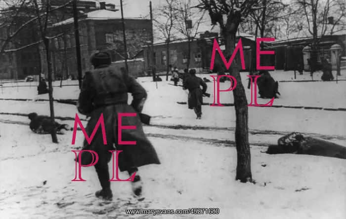 : Soviet(Russian) soldiers engaged in hunting down : Soviet(Russian) soldiers engaged in hunting down