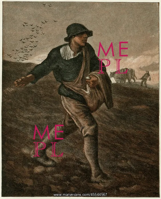  : The Sower 1885