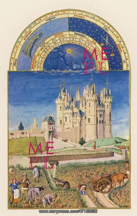 : SOWING, 15TH CENTURY : SOWING, 15TH CENTURY