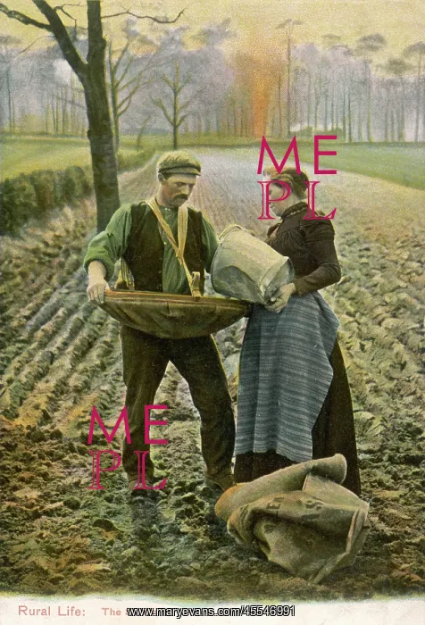: Sowing. A farmer and his wife sow their fields - she brings him the seed, he scatters it : Sowing. A farmer and his wife sow their fields - she brings him the seed, he scatters it