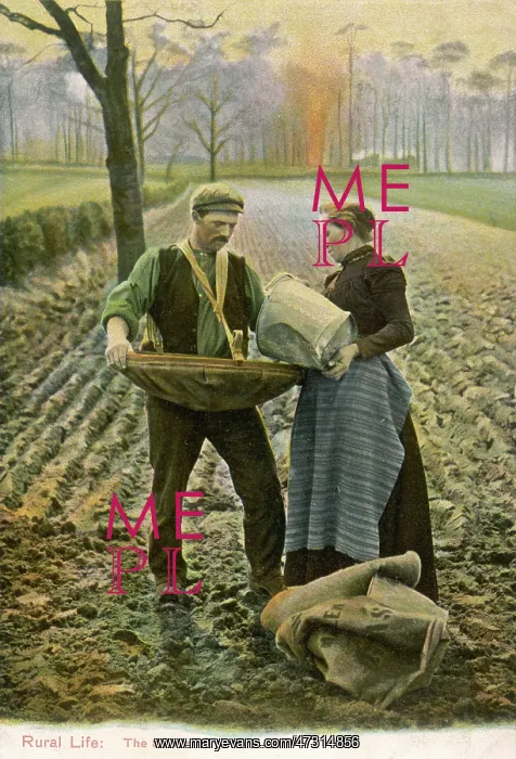 : Sowing. A farmer and his wife sow their fields - she brings him the seed, he scatters it : Sowing. A farmer and his wife sow their fields - she brings him the seed, he scatters it