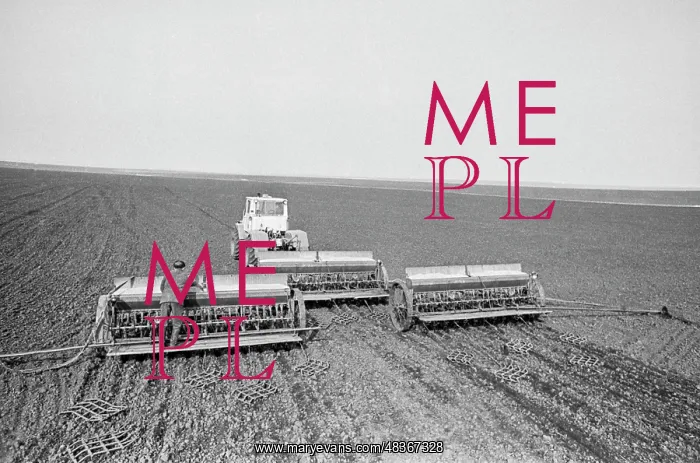 : Sowing of barley : Sowing of barley