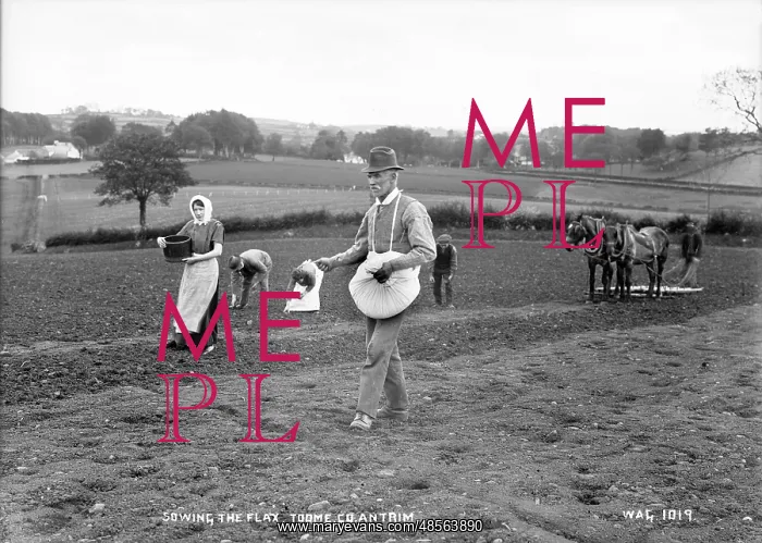 : Sowing the Flax, Toome, Co. Antrim : Sowing the Flax, Toome, Co. Antrim