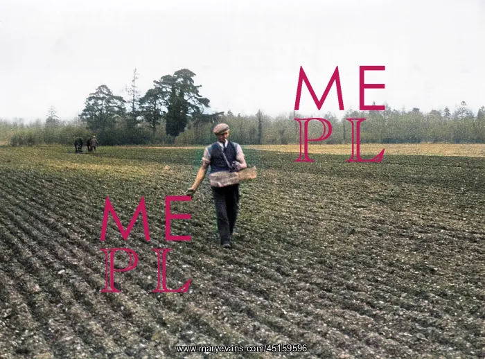 : SOWING BY HAND : SOWING BY HAND