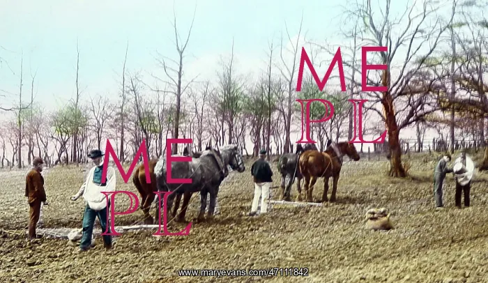  : Sowing seed and harrowing, Victorian period