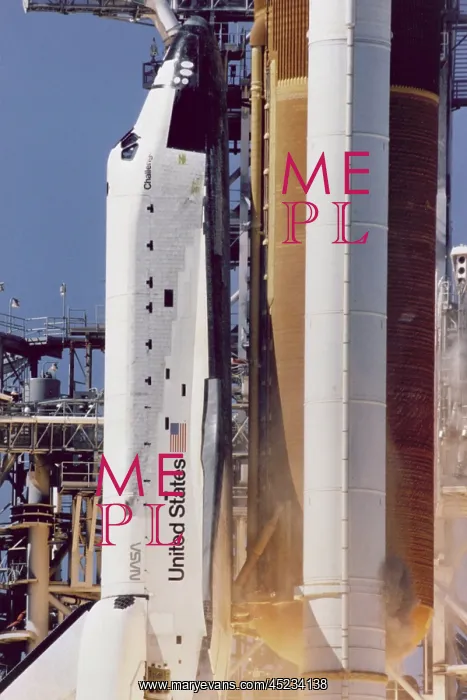 : Space shuttle Challenger disaster. Grey-brown ? : Space shuttle Challenger disaster. Grey-brown ?