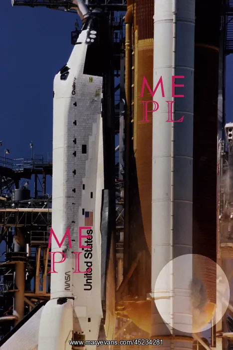 : Space shuttle Challenger disaster. Grey-brown ? : Space shuttle Challenger disaster. Grey-brown ?