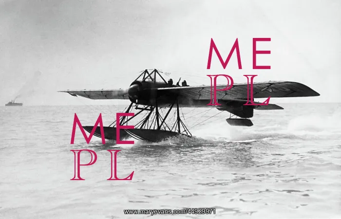 : SPAD Deperdussin Monocoque floatplane : SPAD Deperdussin Monocoque floatplane