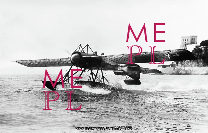 : SPAD Deperdussin Monocoque floatplane : SPAD Deperdussin Monocoque floatplane