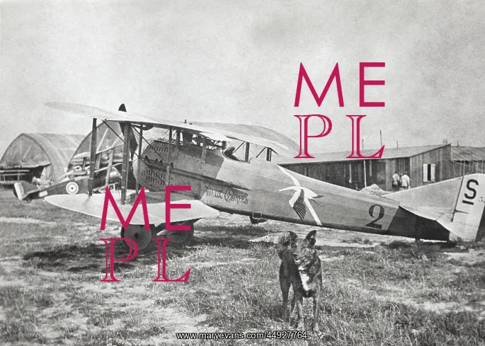: SPAD S-XIII : SPAD S-XIII
