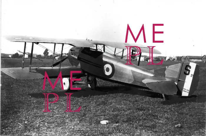 : SPAD XIII a higher powered version -almost indistinguis : SPAD XIII a higher powered version -almost indistinguis
