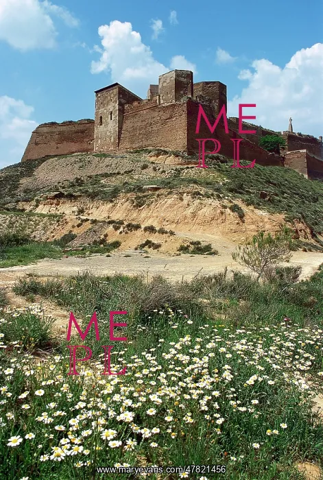: Spain, Aragon. Monzon Castle : Spain, Aragon. Monzon Castle