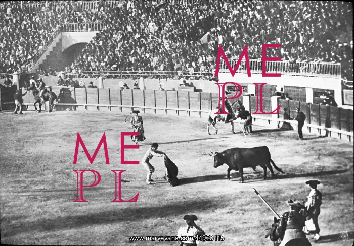 : Spain - Bull Fighting - Suerte de Capa : Spain - Bull Fighting - Suerte de Capa