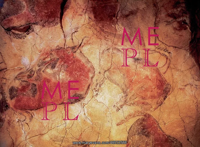 : Spain. Cantabria. Cave of Altamira. Bison : Spain. Cantabria. Cave of Altamira. Bison