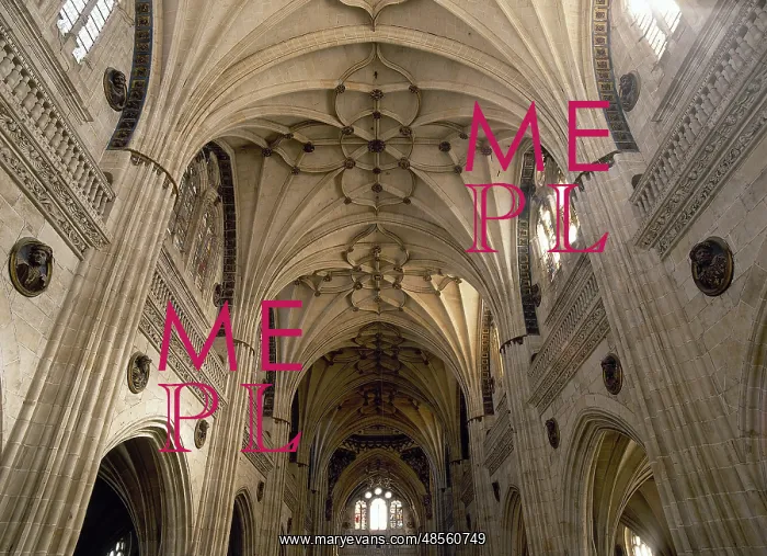 : Spain. Castile and Leon. Salamanca. New Cathedral. 16th-18th : Spain. Castile and Leon. Salamanca. New Cathedral. 16th-18th