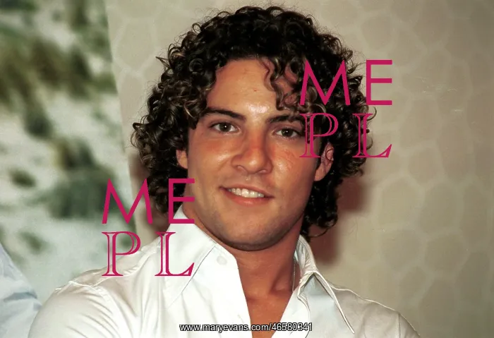  : SPAIN. David Bisbal. 30 / 05 / 2002