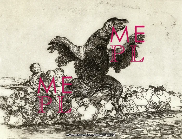 : SPAIN GOYA WAR VULTURE : SPAIN GOYA WAR VULTURE