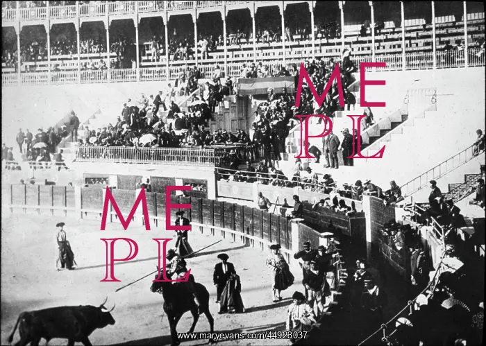 : Spain - The Picador challenging the Bull : Spain - The Picador challenging the Bull
