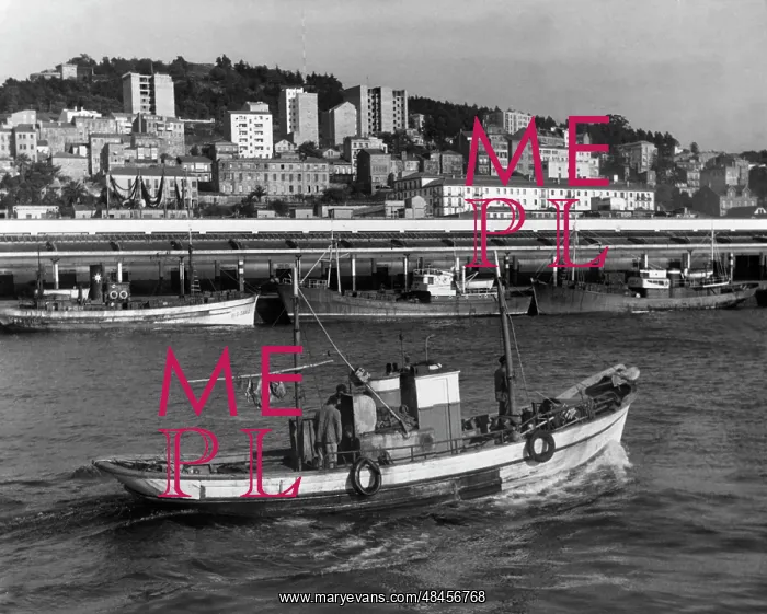 : SPAIN / VIGO : SPAIN / VIGO