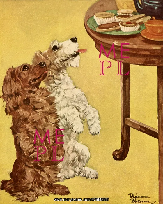  : Spaniel and Terrier Begging at Table