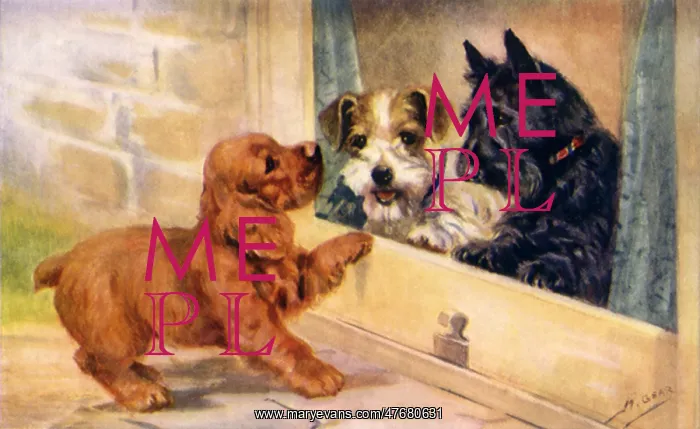  : Spaniel and Terriers Meet at Door