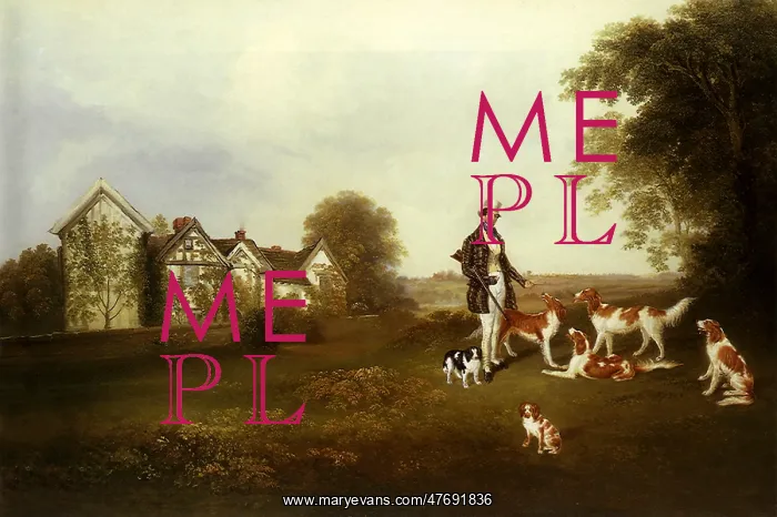  : Spaniels, Irish Setters