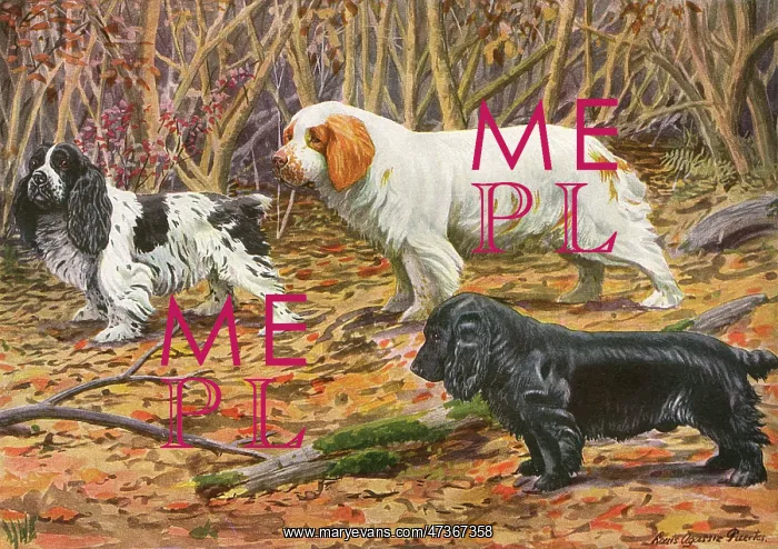 : SPANIELS (PUERTES) : SPANIELS (PUERTES)