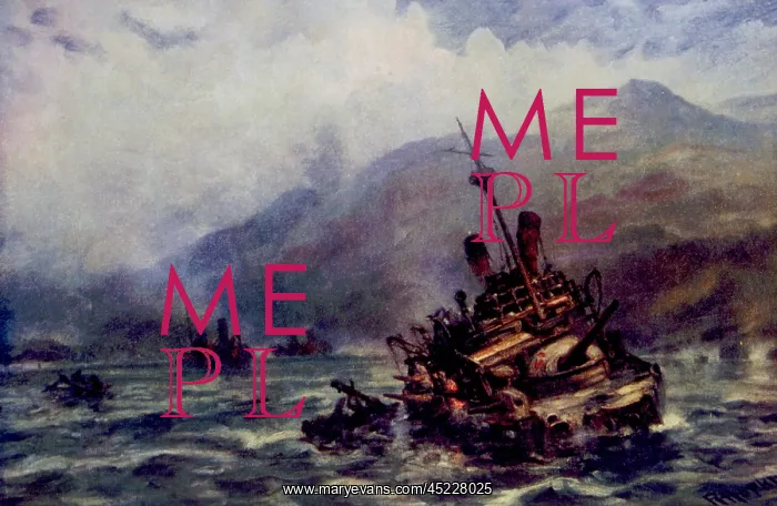 : The Spanish American War, the Spanish fleet ? : The Spanish American War, the Spanish fleet ?