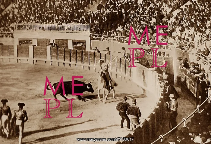  : Spanish Bull Fight