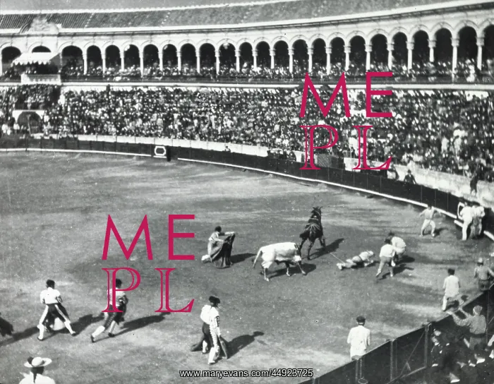 : Spanish Bullfight : Spanish Bullfight