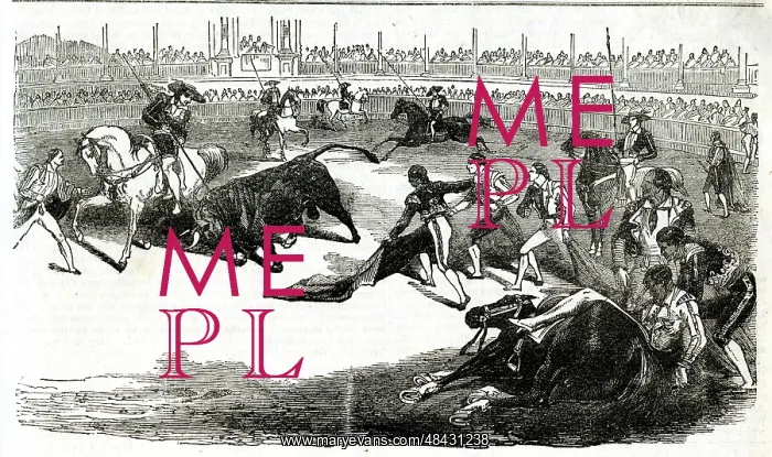  : A Spanish bullfight