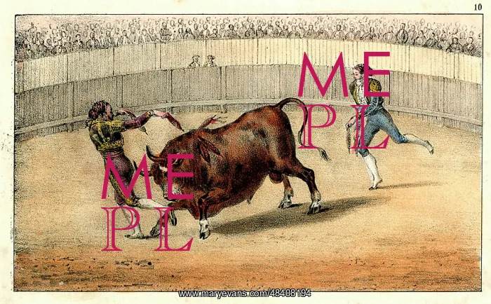  : Spanish bullfighting - banderilleros