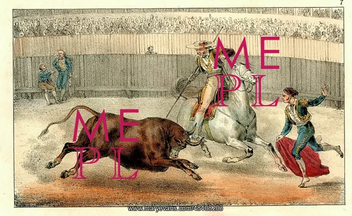 : Spanish bullfighting - the bull charges : Spanish bullfighting - the bull charges