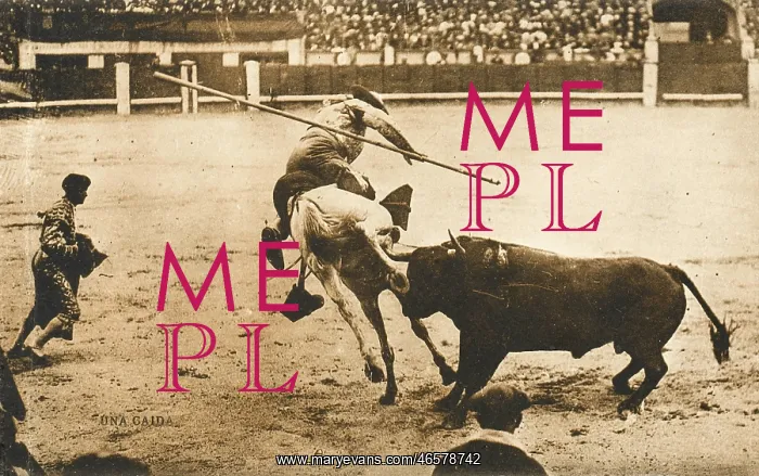 : Spanish Bullfighting - (card 1 of 3) : Spanish Bullfighting - (card 1 of 3)