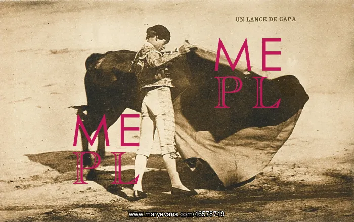 : Spanish Bullfighting - (card 2 of 3) : Spanish Bullfighting - (card 2 of 3)