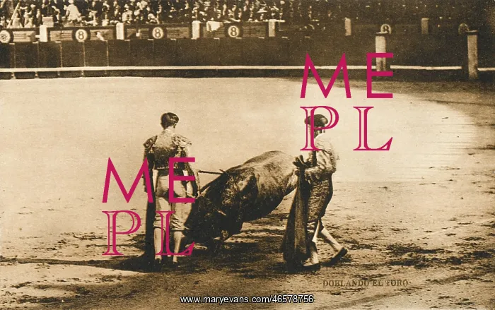 : Spanish Bullfighting - (card 3 of 3) : Spanish Bullfighting - (card 3 of 3)